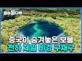 중국 자연 아름다움의 끝판왕 죽기 전 꼭 가봐야한다는 구채구 영상을 보면 그 이유를 알 수 있다 중국 천하 제일 비경 세계테마기행 골라듄다큐