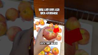 와.. 저도 진짠줄 알았던 장보기 꿀팁 이거 거짓이었네요. 마트에서 맛있는 사과고르는법 생각보다 더 간단합니다!