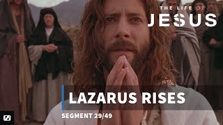 Lazarus Rises | The Life of Jesus | #29