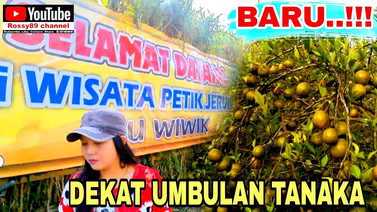 Bs4pdutzsa6wm Bs4pdutzsa6wm