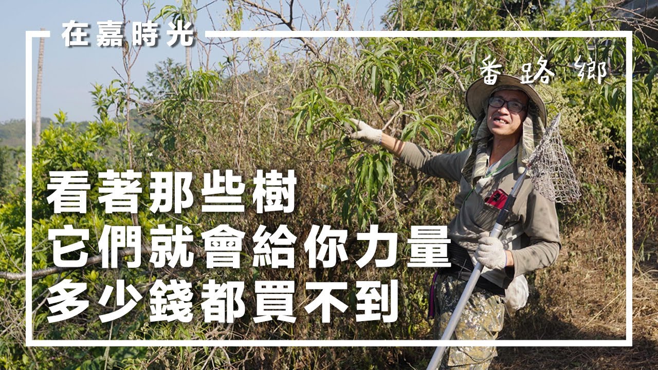 《在嘉時光 》EP.1番路鄉 ── 與自然共生的山林生活