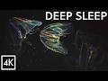 Deep Sleep & Meditation｜Rainbow Glowing Jellyfish in the Dark｜8hr 4K No Mid-roll Ads｜Healing Music