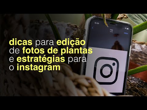 Vídeo: Tirando boas fotos de plantas: como fotografar plantas no jardim