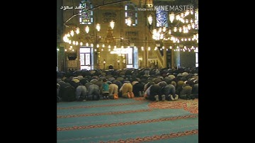 سورة العصر - أحمد سعود