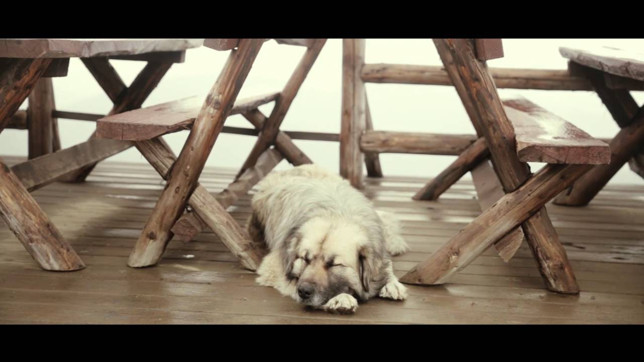 Discover Romania by Studio 20