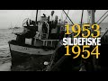 SILDEFISKE 1953 og 1954. Lossing ved sildoljefabrikkene.