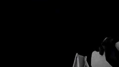 SWMT: E-11 Blaster Rifle "Ready" Animations (V2)