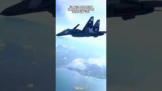 Su-27 Flanker TNI AU Jaga Langit NKRI 🇮🇩✈️ #tniau #militer #pesawattempur #alutsista