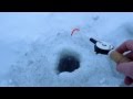 Рыбалка на окуня по первому льду. Декабрь 2013 (окуневое безумие). Uha-tv