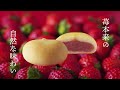 「花ことばStrawberry」好評発売中！