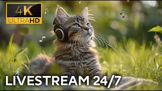 🔴 Healing Cat Music (LIVE 24/7) Relaxing Music for Cats with Water Sounds ♬