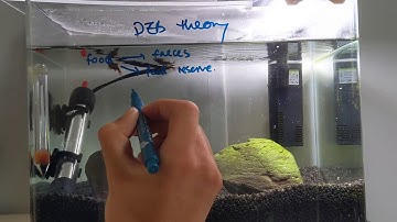 DEB theory made simple