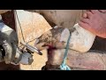 this hoof needs A LOT of HELP | Hoof Healers
