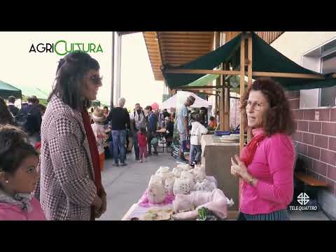 AGRICULTURA  | 15/10/2025