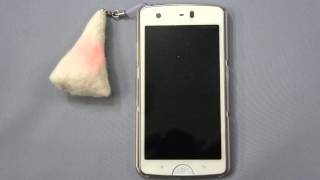 携帯ストラップ②（ＨＤ）