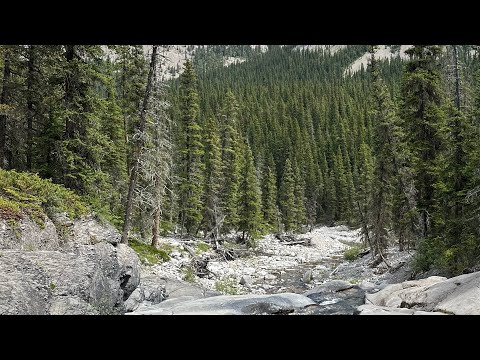 Real Bigfoot Sighting In Canada June 2023