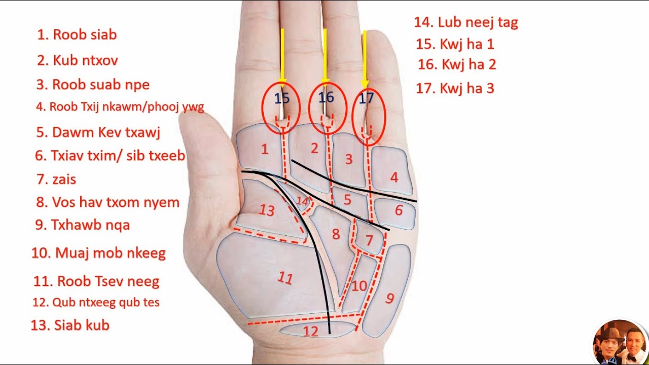 Qhia vib this kom txawj saib kab tes