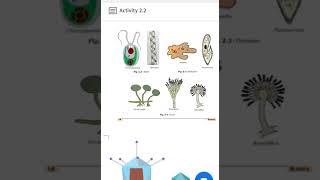 NCERT Class 8 science chapter 2 part 1 microorganisms : friend and foe explanation by richa gahlot screenshot 4
