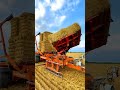 Hi Tech Farming in foreign