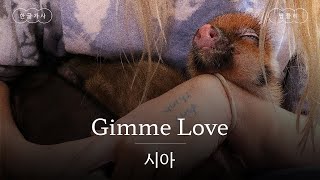 한국인 취향 제대로 저격하는 시아 신곡💥 [가사 번역] 시아 (Sia) - Gimme Love Resimi