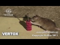 VERTOX Weather Resistant Rodenticide Bait Blocks