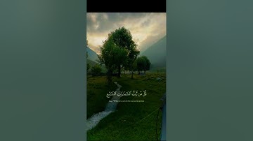 تلاوة عطرة لفضيلة الشيخ ياسر الدوسري #قرآن #اكسبلور #المصحف #صلوا_على_النبي #لايك #راحة_نفسية
