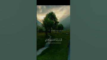 تلاوة عطرة لفضيلة الشيخ ياسر الدوسري #قرآن #اكسبلور #المصحف #صلوا_على_النبي #لايك #راحة_نفسية