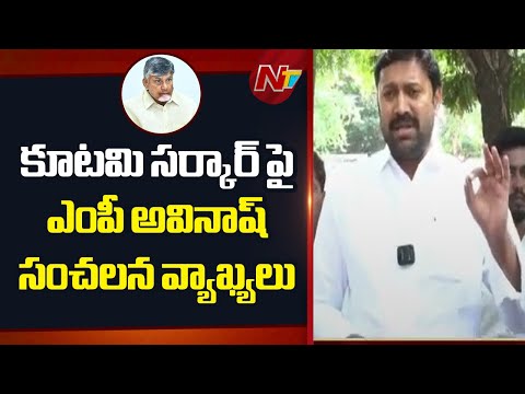 MP Avinash Reddy Sensational Comments on the Chandrababu Government | NTV Telugu - NTVTELUGU