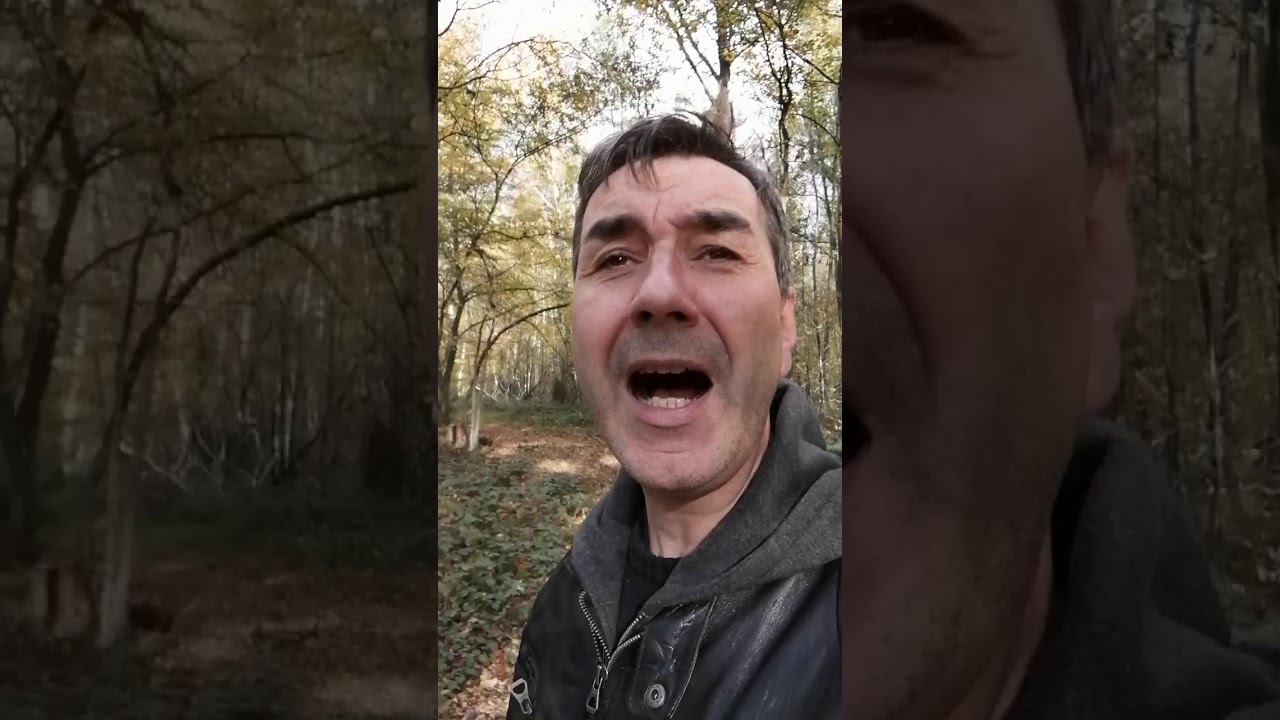 l'instant du jour  nos forces