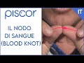 Il Nodo di Sangue - Blood Knot