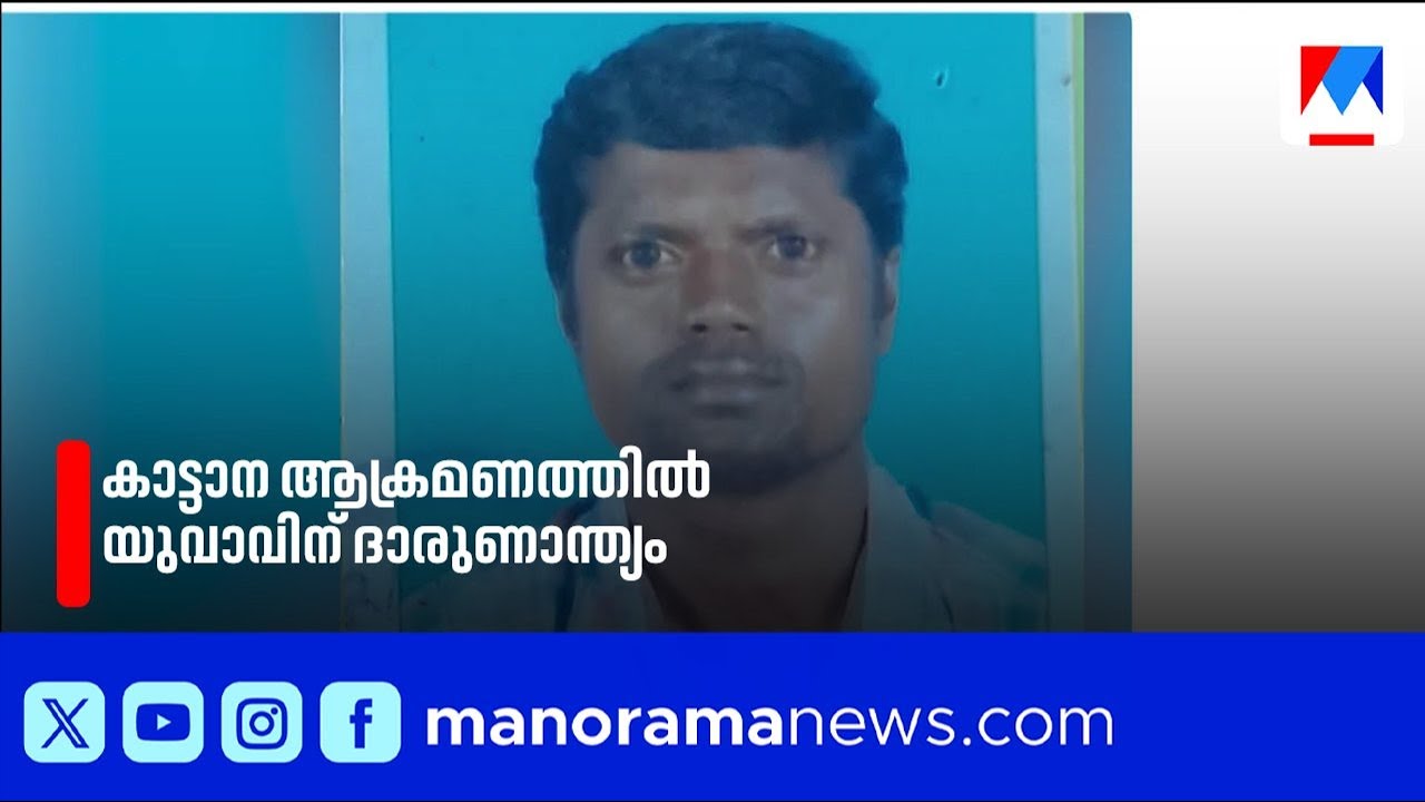 ജീവനെടുത്ത് കാട്ടാന; ആറളം ഫാമില്‍ യുവാവിന് ദാരുണാന്ത്യം | Aralam Elephant Attack