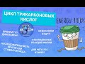 Цикл трикарбоновых кислот. Цикл Кребса