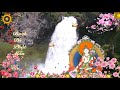 White Tara Mantra - 白度佛母 - Thần Chú  Bạch Độ Phật Mẫu -Tăng Trưởng Thọ Mạng | Chùa Sơn La