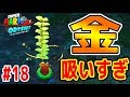 #18【樹海のムーンの難易度やばすぎて、頭がねるねるねるね】森の国スチームガーデン　パワームーン&コインGET　マリオオデッセイ　つちのこ実況