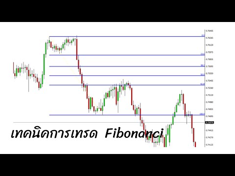 เทคนิคการเทรด โดยใช้ Fibonanci ทำกำไรในตลาด forex