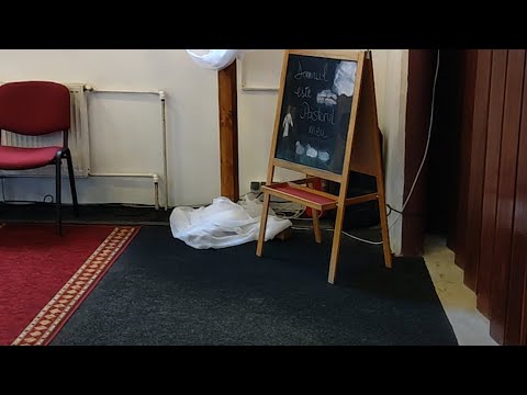 Previzualizare video