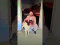 Hasan goat farm