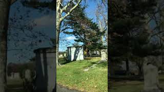 Gravesite 7