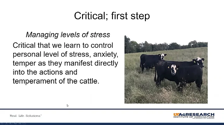 6 - Low Stress Handling Techniques - Kevin Thompson