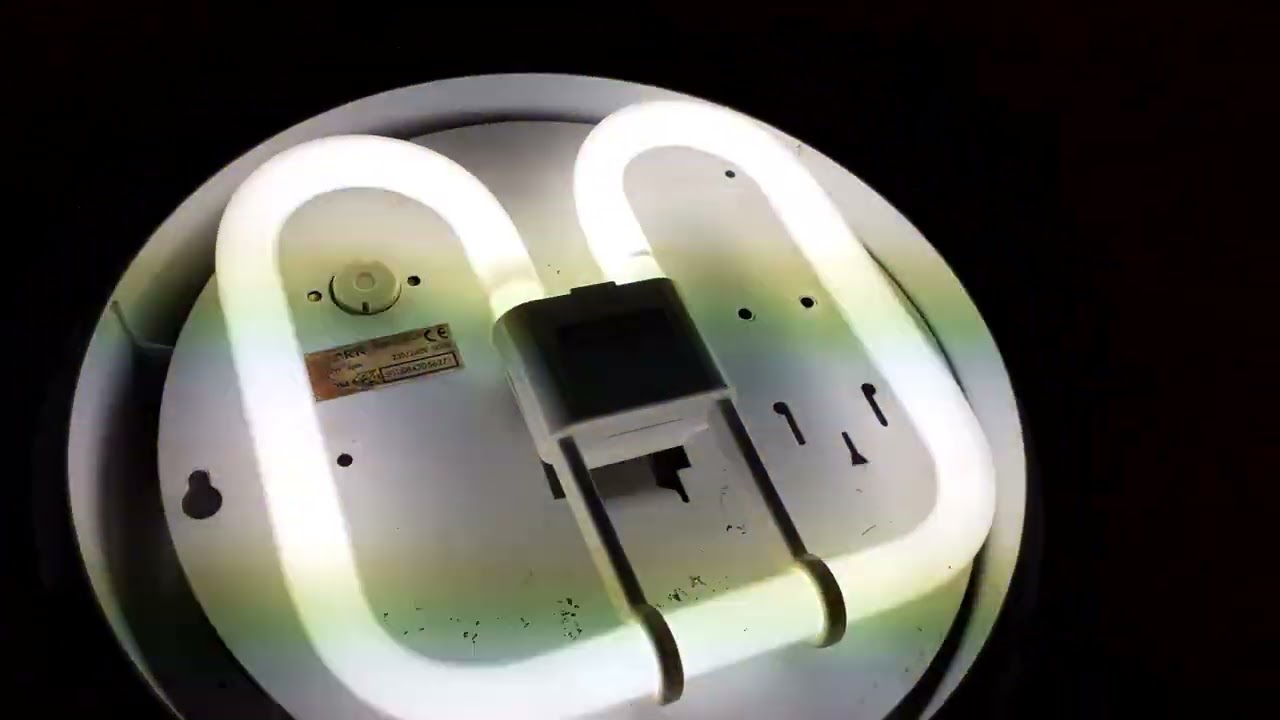 Eveready 55w 2D Fluorescent Light Bulb