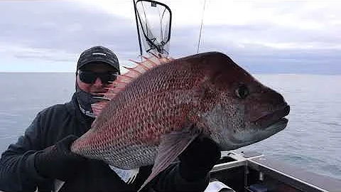Big Snapper on the Shimano Baku Slow Jig
