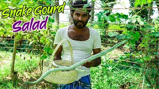 Snake Gourd Salad By Village Boy| Snake gourd recipe - Pathola | Village cooking videos new