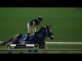 Race #6 – 05.01.24 – Dubawi Stakes