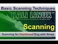 Heartbleed SSL bug Scanning using Nmap on Kali Linux