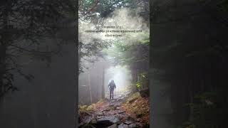 #verse #bible_verse #viral #love #quotes #shorts #peace #reels