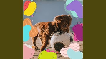 Pulsating Chillout Smooth Jazz - Vibe for Calm Dogs