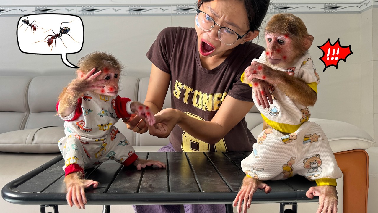 Disaster strikes! Lucky and Sunny steal fruit and face a bitter ending