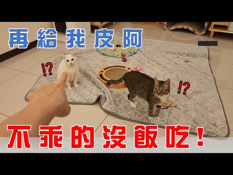 【豆漿 - SoybeanMilk】再皮阿 不乖的沒飯吃！