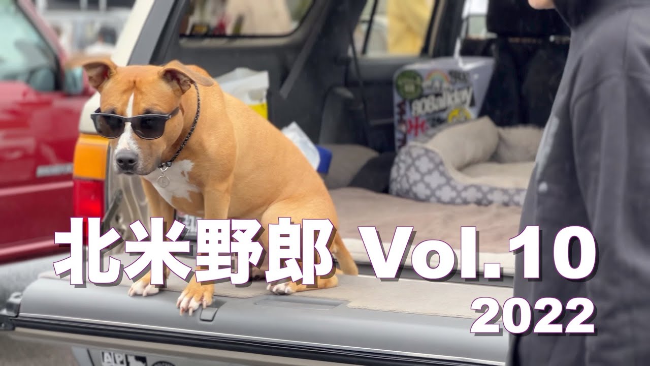 北米野郎 Vol.10 【2】2022.10.10 モビリティリゾートもてぎ  HOKUBEIYAROU #USDM #car