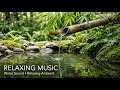 🌿 Drift into Deep Sleep with Flowing Water & Healing Ambient Sounds
